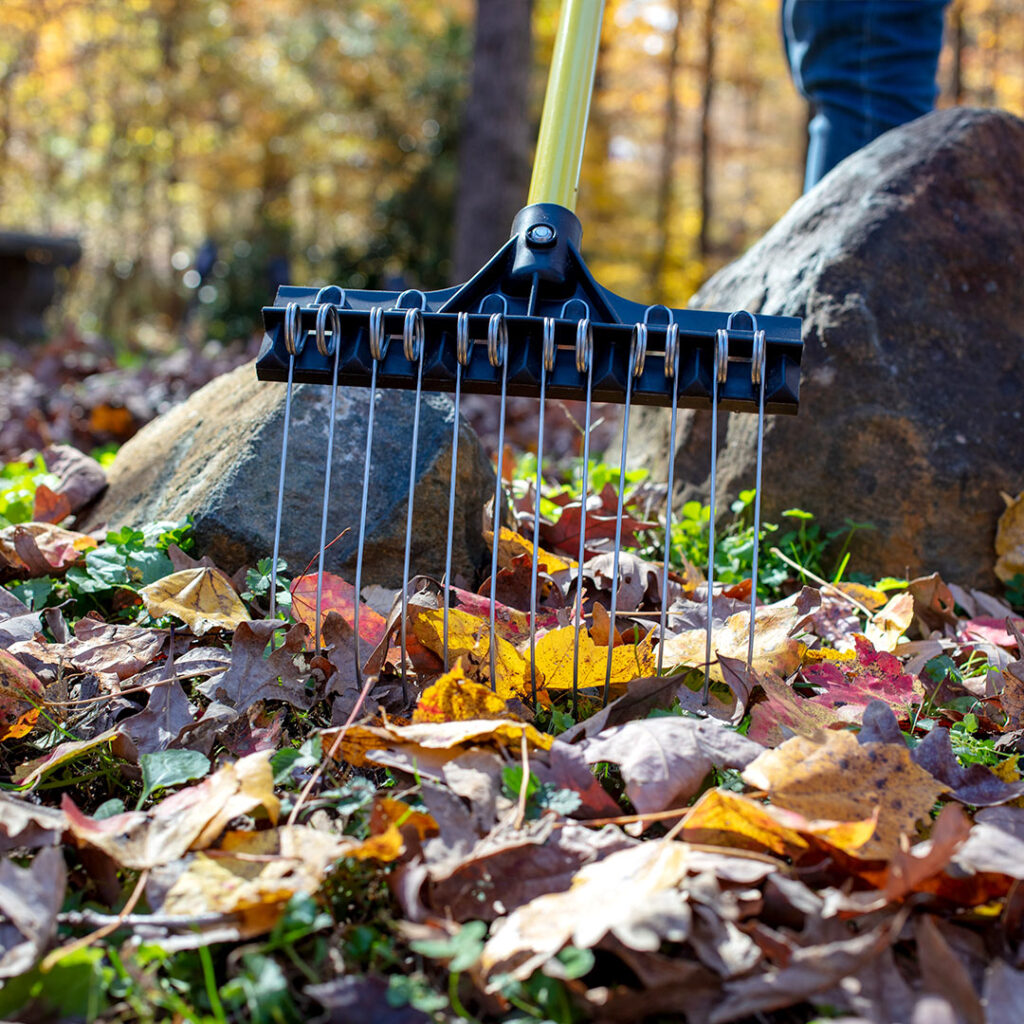 Mini Groundskeeper II in front of rocks with leaves